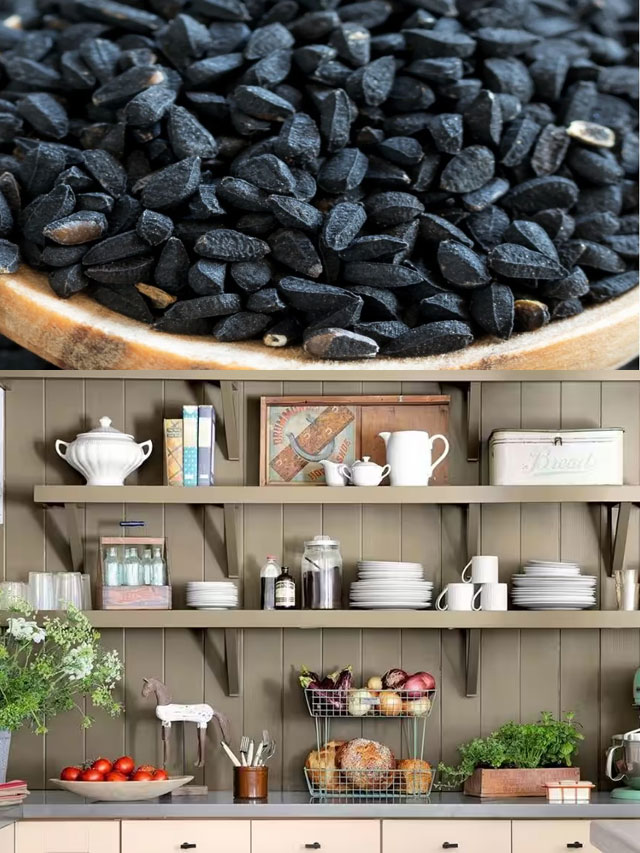 इस घरेलू चीज को पैगंबर मोहम्मद (स.) ने बताया था मौत को छोड़कर, दुनिया की सभी बीमारियों का इलाज