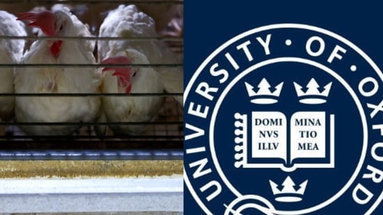 Once without money for clothes, Indian farmer gets invite for Oxford address after poultry business boom
