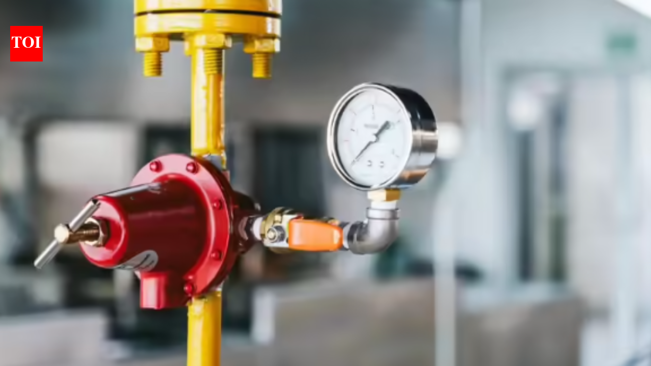 Govt mandates switch to piped gas: Centre orders transition to PNG wherever available