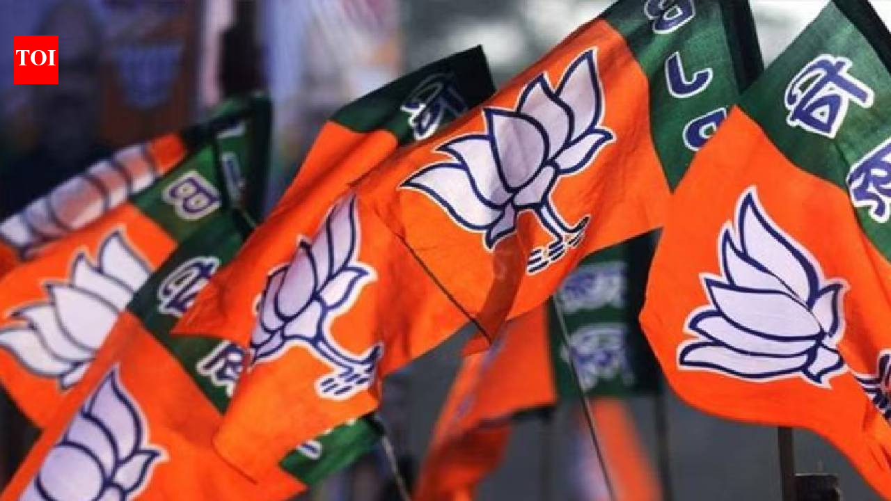 Donations to national parties surged 161% in FY25, BJP got lion's share