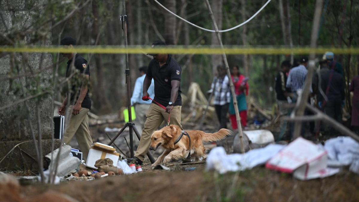 Kerala fireworks accident: 9 victims identified; fireworks-free Thrissur Pooram under consideration