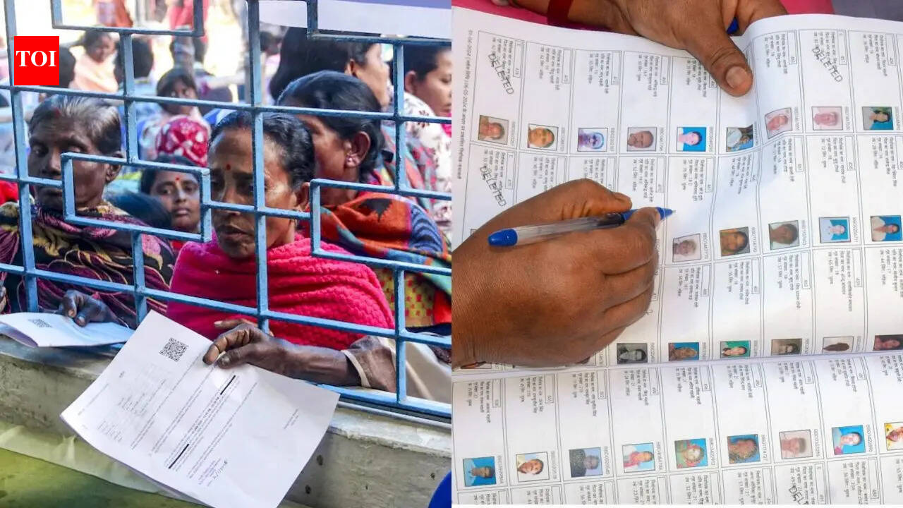 'List stands frozen': Nearly 91 lakh voters deleted from Bengal rolls after SIR