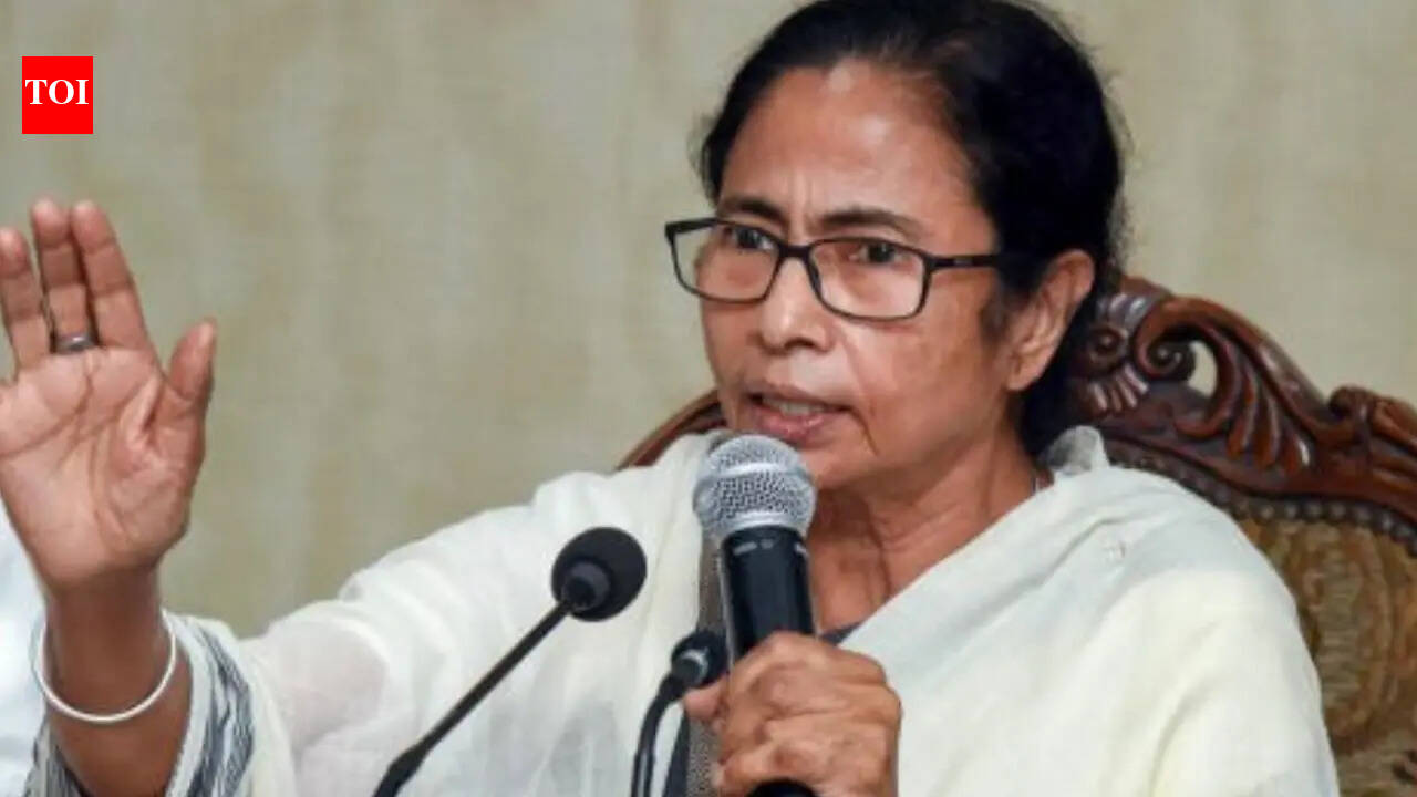 ‘Have guts? Face me directly’: Didi dares BJP after I-T raids