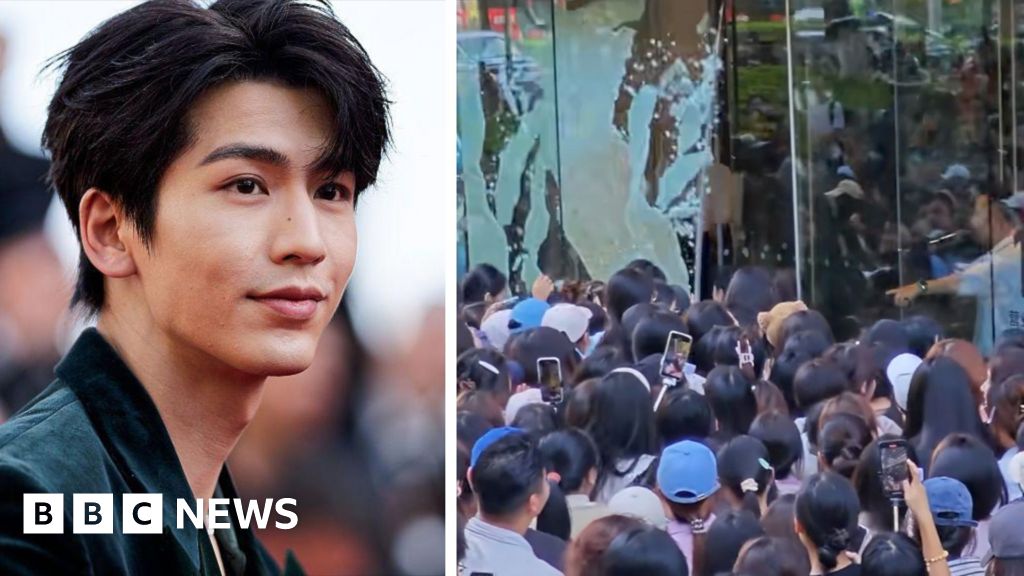 Watch: Fans break glass door trying to see TV star