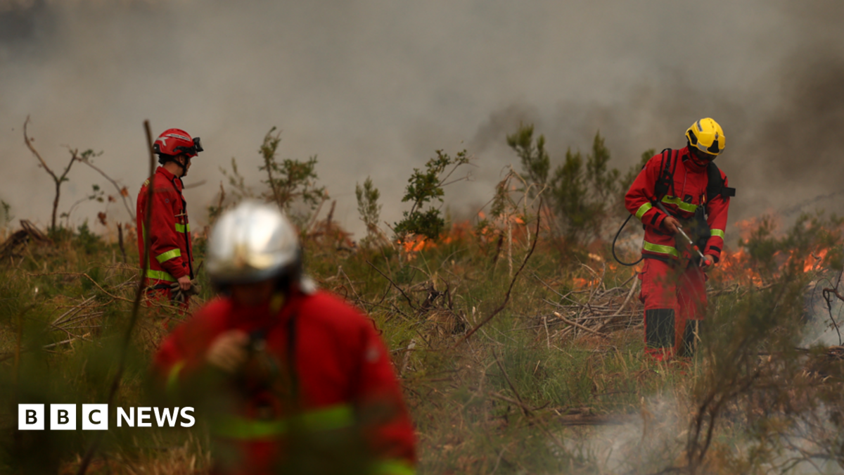 Firefighters battle wildfire as tens of thousands evacuated near Bordeaux