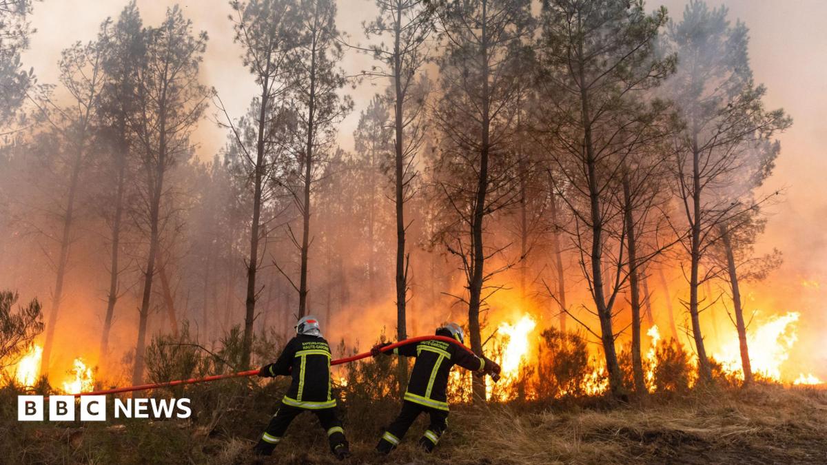 France and Spain wildfire witnesses describe 'wall of flames', fear and stress