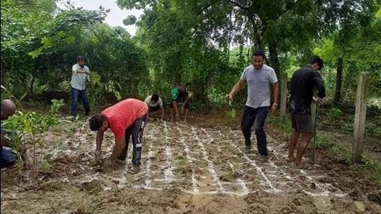 150-acre reclaimed fly ash site in Aravallis to get Miyawaki forest, HPGCL tells NGT