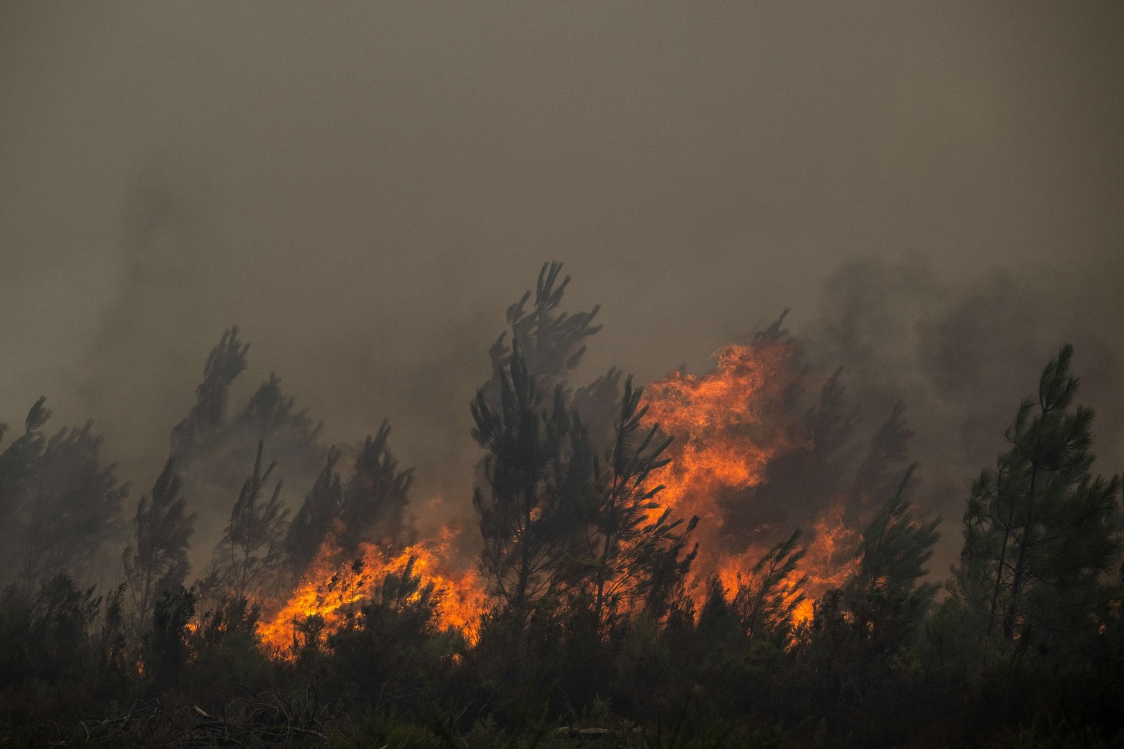 French wildfires trigger mass evacuations around Bordeaux