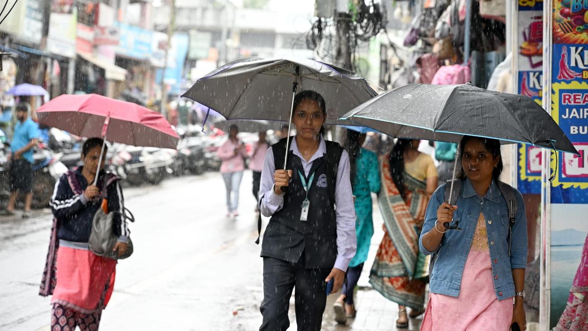 Heavy rain in Malnad region of Karnataka, rivers in spate