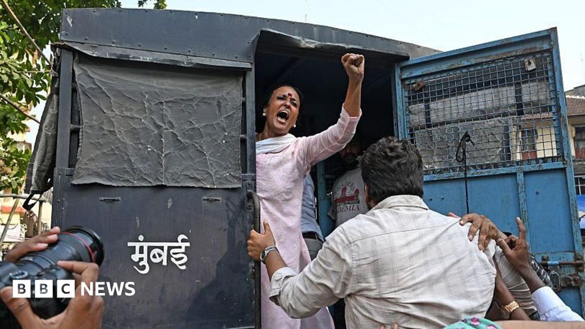 Delhi braces for more protests as 'cockroach' group's leaders released