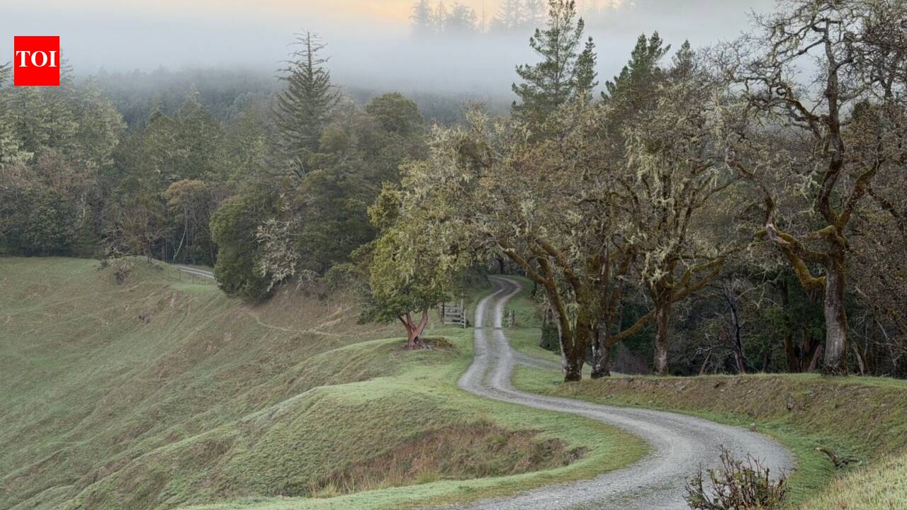 California family’s 6,625-acre cattle ranch protected after 112 years