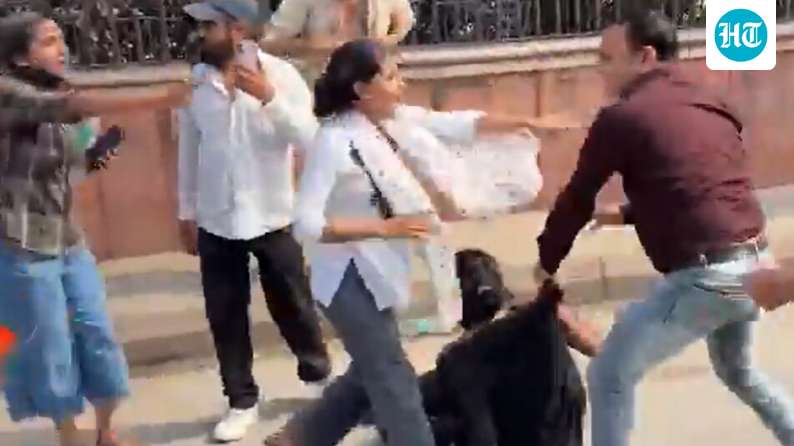 Delhi protest: Right-wing groups assault protesters, journalists amid heavy security deployment